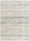 Redondo Beach Machine Woven Rug thumbnail 0