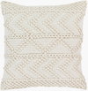 Merdo Accent Pillow, Decorative Pillow by Surya, 22" length x 22" width thumbnail