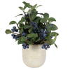 Blueberry Fields Accent, Artificial Plants & Flower by Uttermost, 10" width x 11" height x 10" depth thumbnail 3