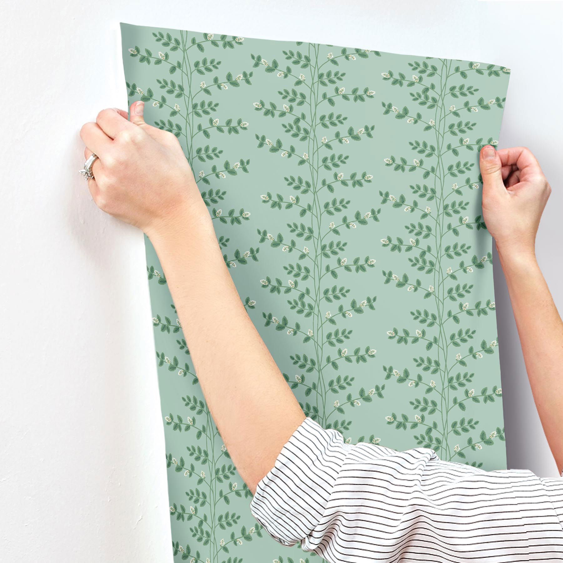 Climbing Vine Soft Teal Wallpaper Climbing Vine Soft Teal Wallpaper large image