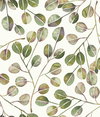 Cat Coquillette Eucalyptus Green Peel & Stick Wallpaper, by York Wall, 16'6" length x 1'8.5" width x 0.02" depth thumbnail