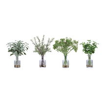 Online Designer Hallway/Entry Ceci Kitchen Herbs, Set/4