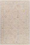 Avant Garde Machine Woven Rug thumbnail 0