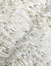 Aslan Neutral Wallpaper thumbnail 3