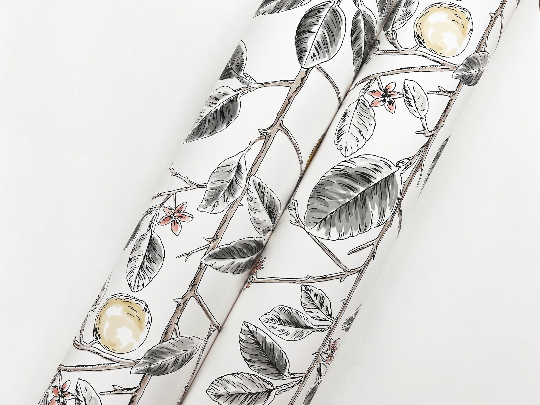 Limoncello Toile Black Wallpaper large image 