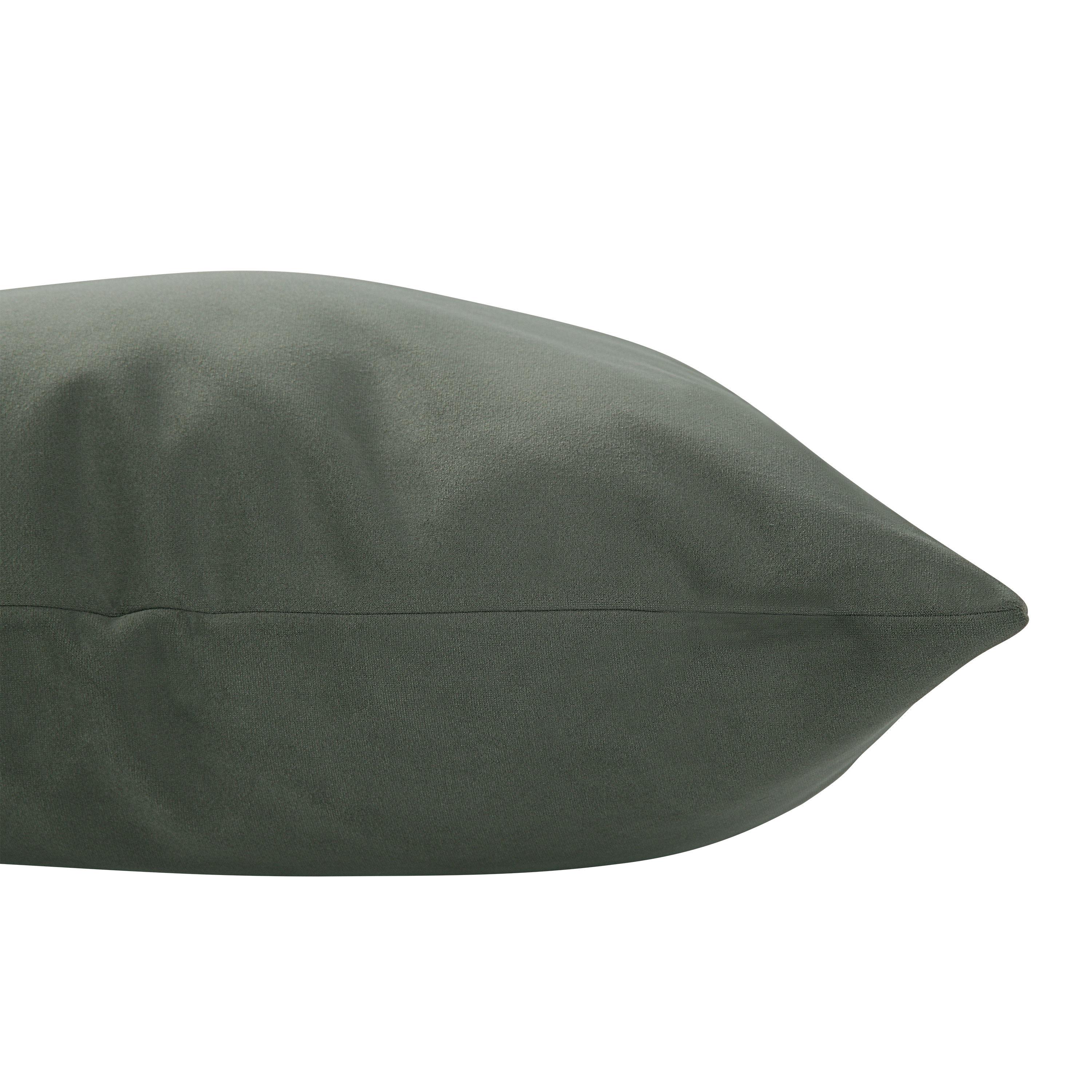 Philemon Indoor Pillow large image 