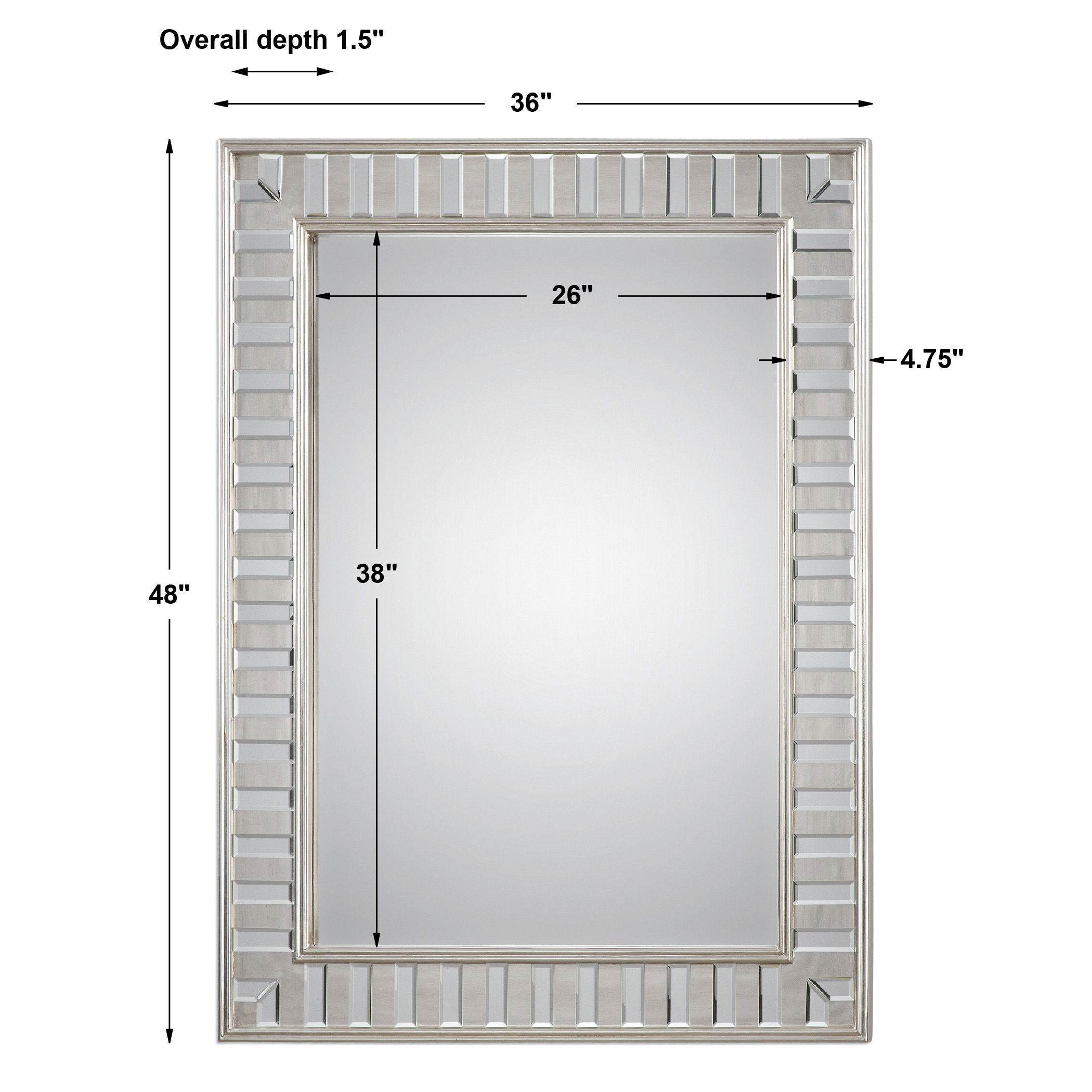 Lanester Silver Leaf Mirror large image 