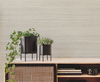 Fountain Grass Taupe Wallpaper 1 Fountain Grass Taupe Wallpaper thumbnail 1