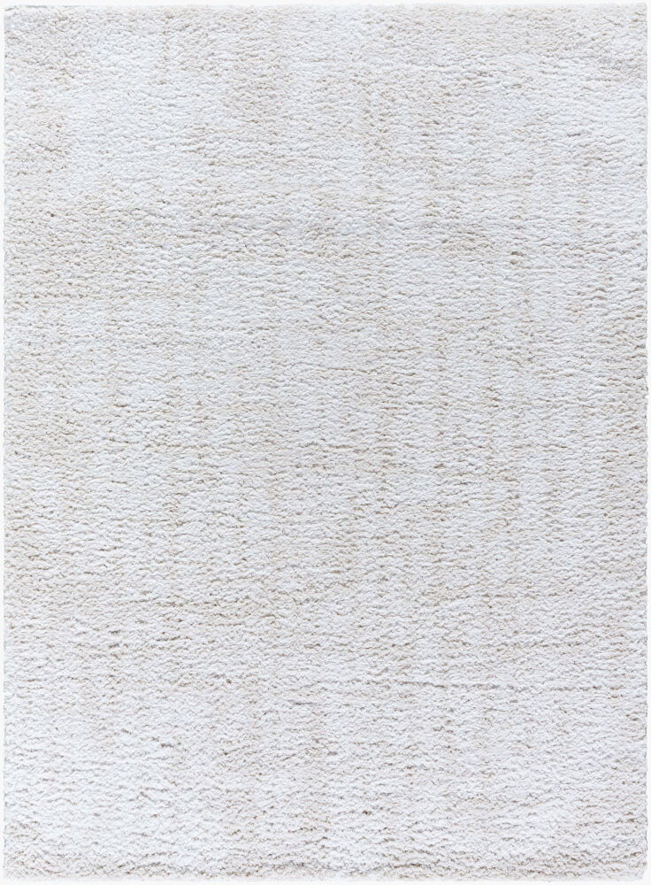 Sacramento Shag Machine Woven Rug large image 