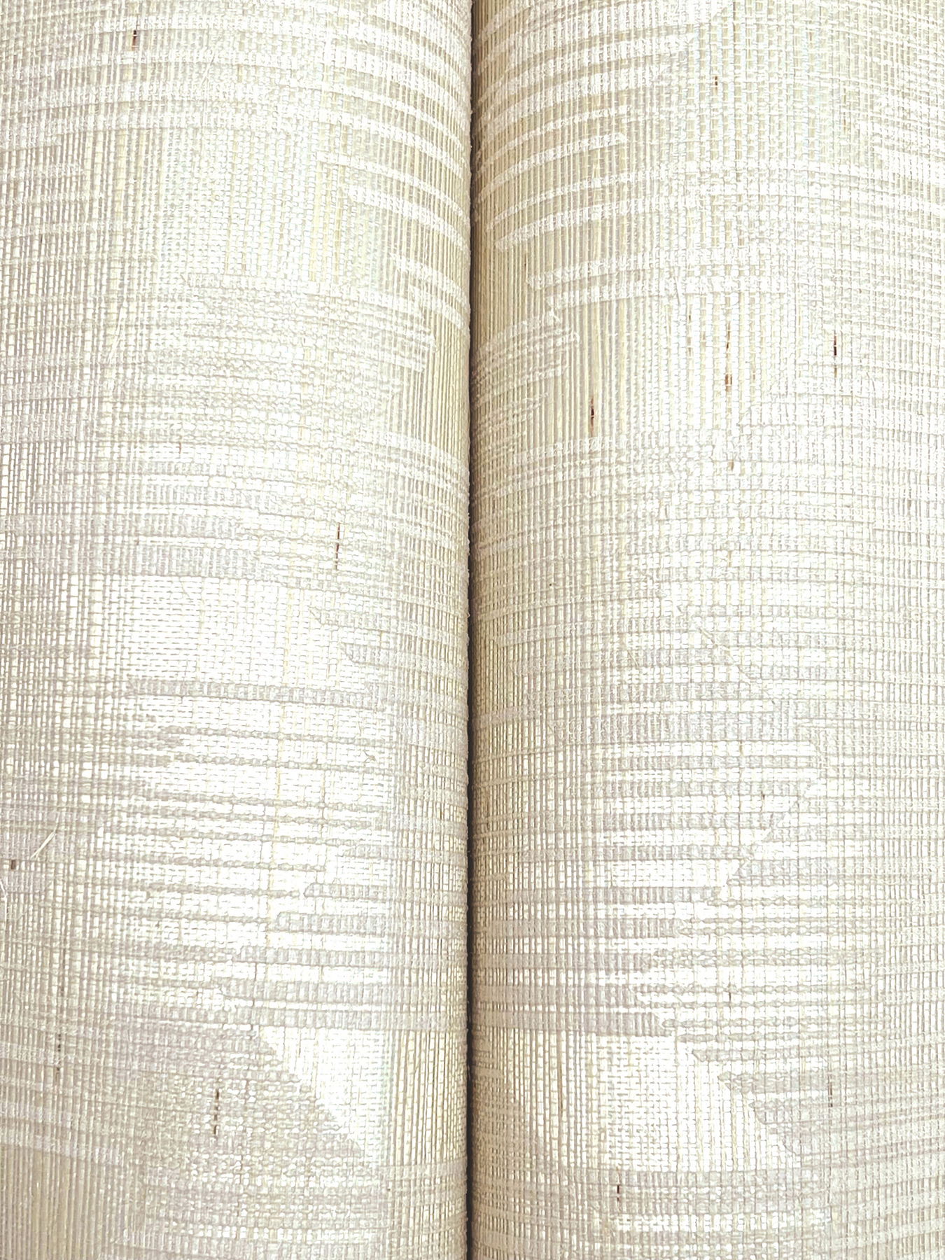 Birch White Wallpaper large image 