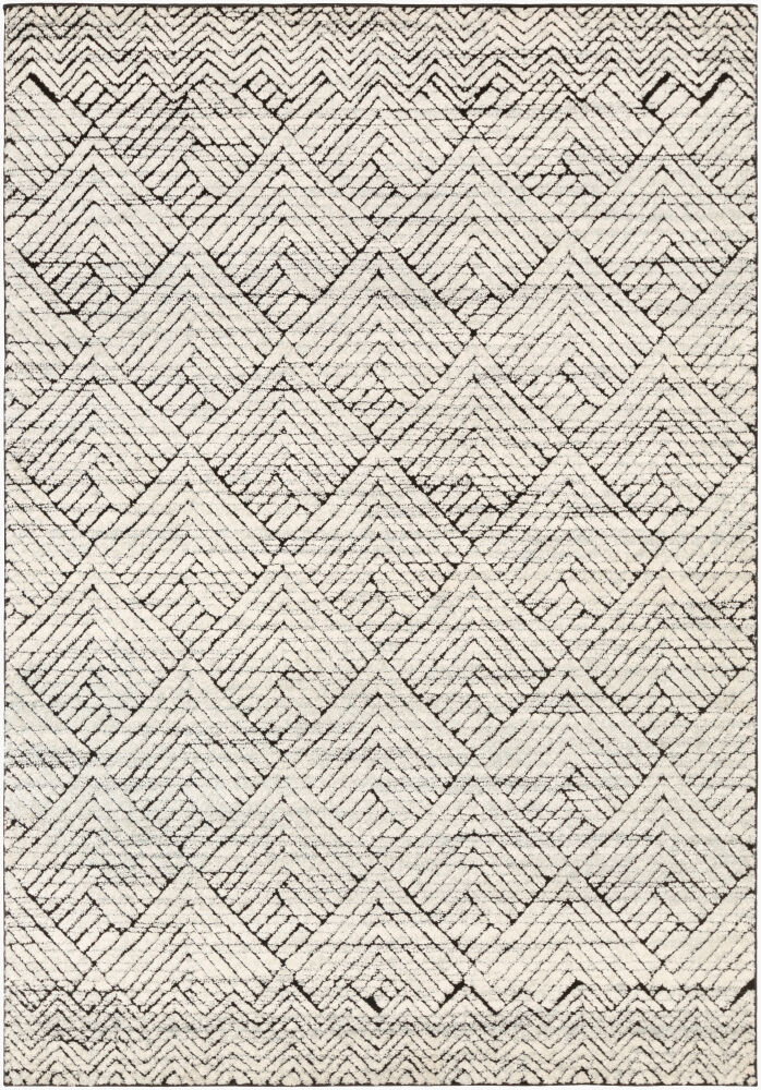 Dersim Machine Woven Rug, by Surya, 1'3.75" length x 1'3.75" width