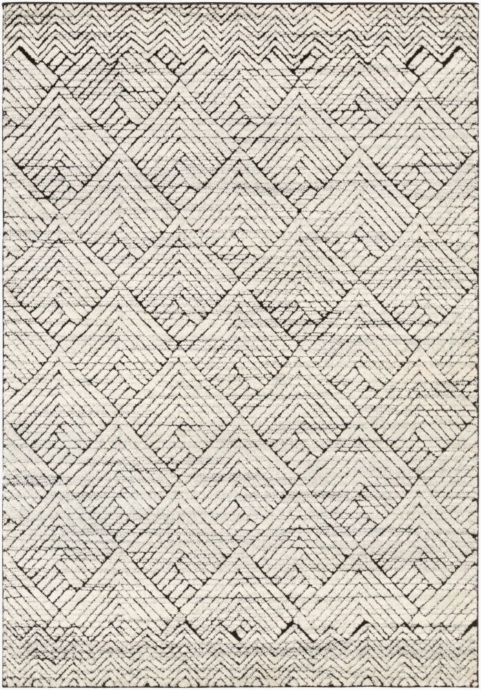 Dersim Machine Woven Rug large image 