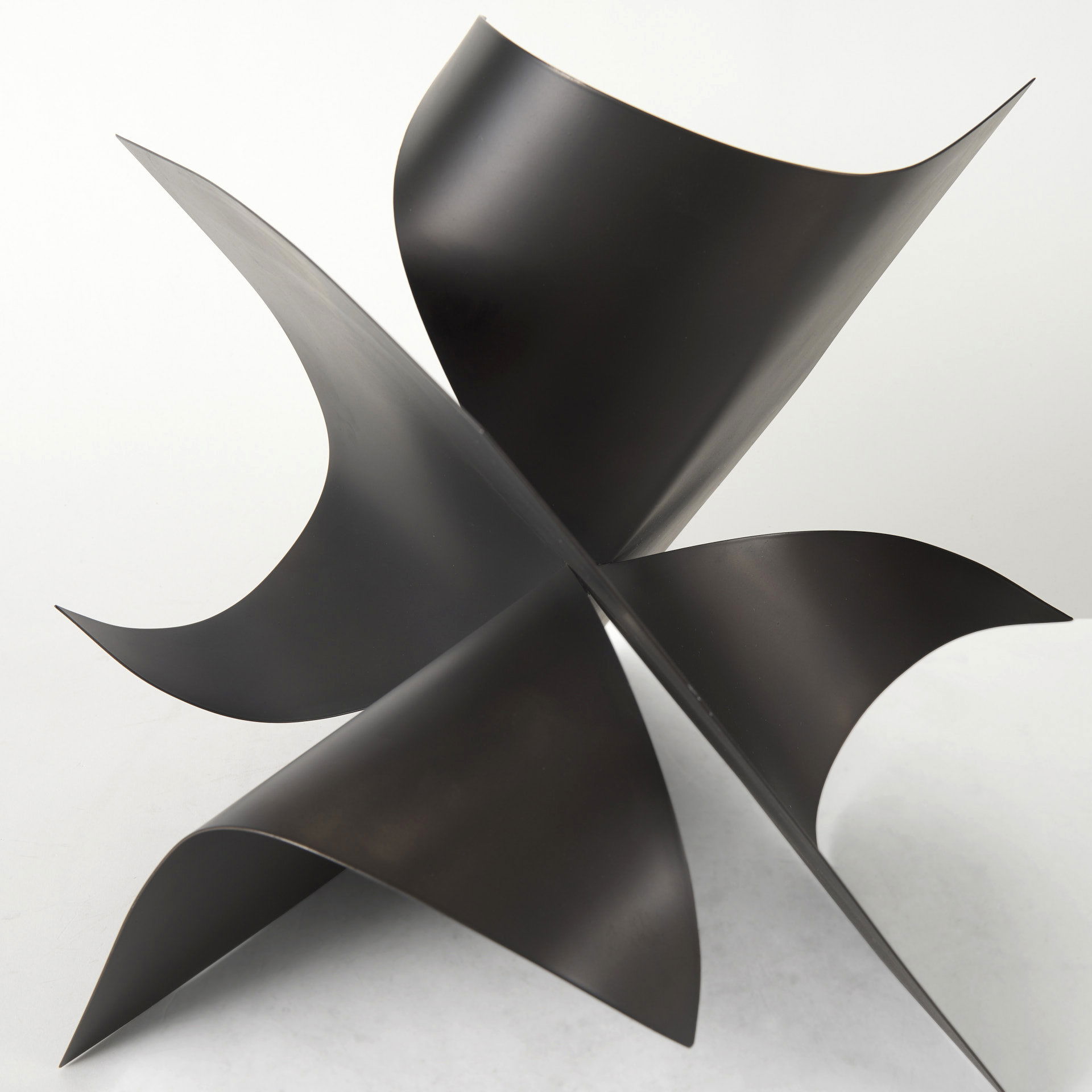 Francesca  Black Metal Sculptural Decorative Object large image 