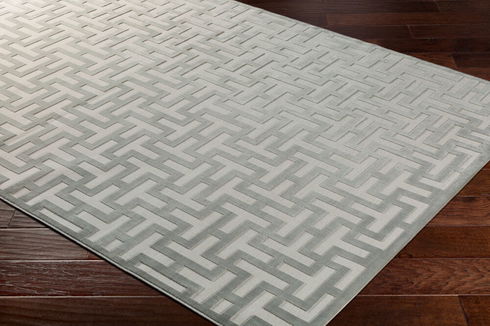 Aesop Machine Woven Rug