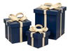 Ferrell Leather Holiday Boxes,S/3,Navy thumbnail 0