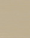 Maguey Sisal Almond Wallpaper thumbnail 0