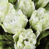 Kimbry Tulip Centerpiece, Artificial Plants & Flower by Uttermost, 24" width x 18" height x 16" depth thumbnail 6