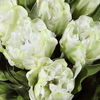 Kimbry Tulip Centerpiece thumbnail 5
