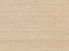Arrowroot Cream Wallpaper, by York Wall, 24' length x 3' width x 0.02" depth thumbnail