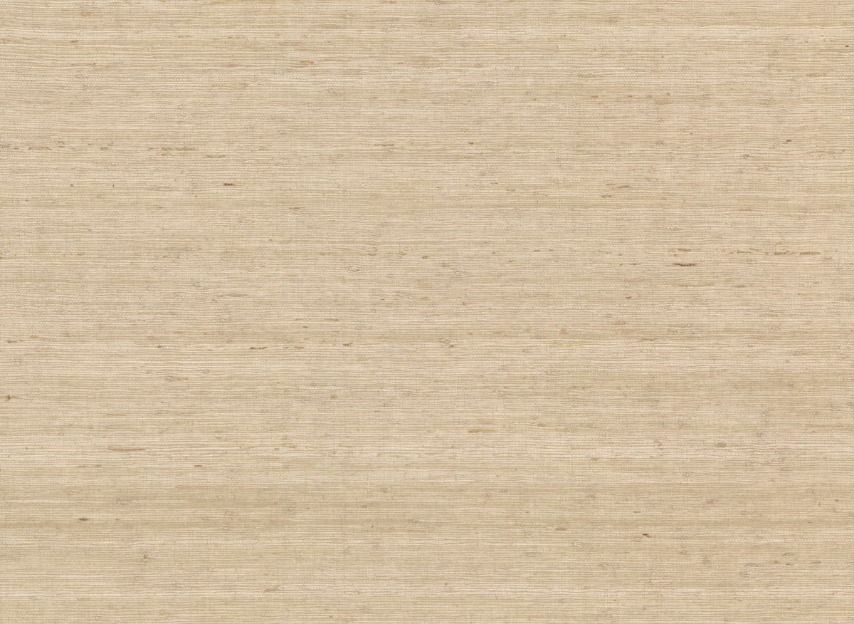 Arrowroot Cream Wallpaper, by York Wall, 24' length x 3' width x 0.02" depth