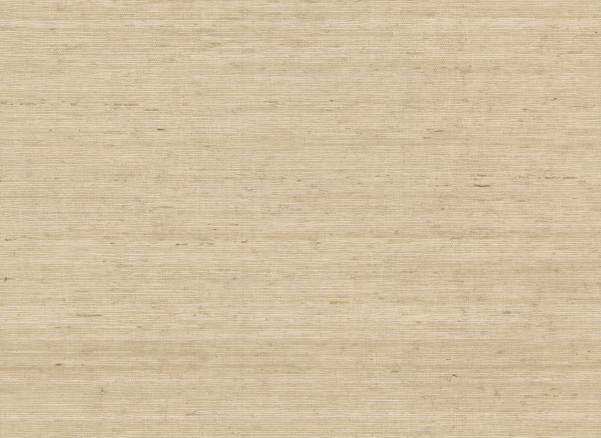 Arrowroot Cream Wallpaper, by York Wall, 24' length x 3' width x 0.02" depth