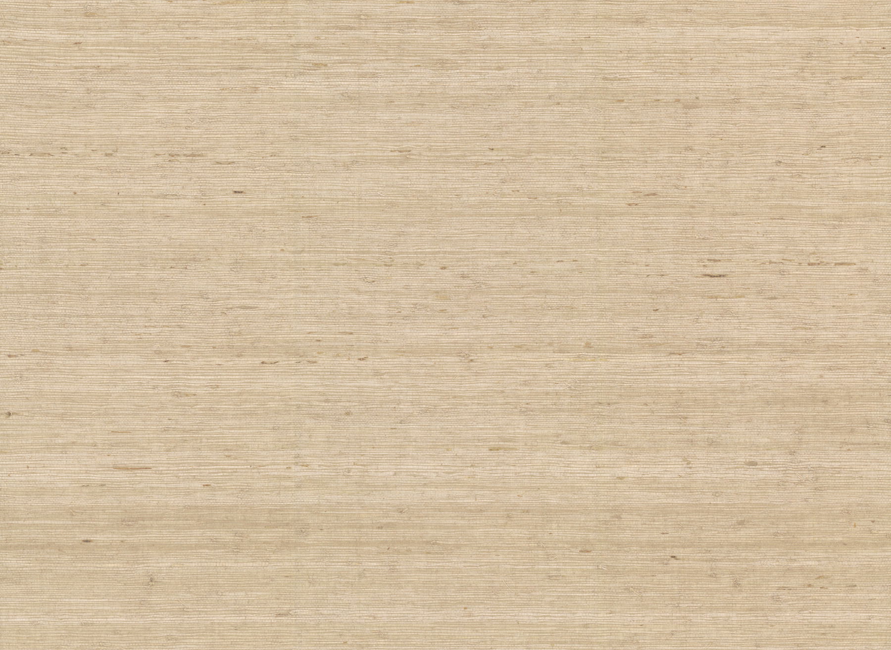 Arrowroot Cream Wallpaper Arrowroot Cream Wallpaper large image