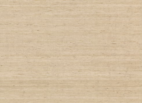 Arrowroot Cream Wallpaper