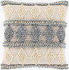 Anders Accent Pillow, Decorative Pillow by Surya, 20" length x 20" width thumbnail