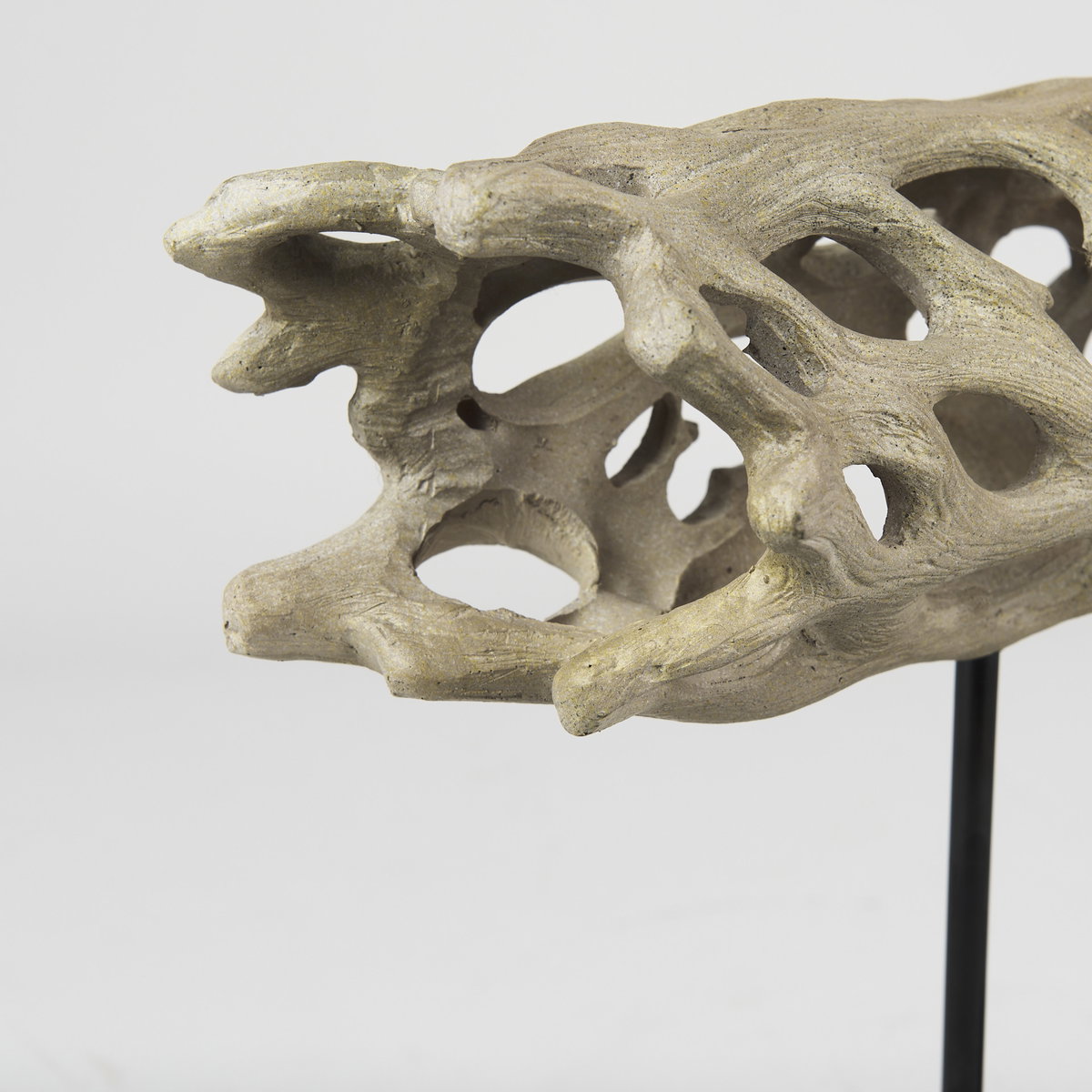Dwell Cholla Wood Resin Decorative Object, by Mercana, 17.32" length x 7.09" width x 12.4" height View 11