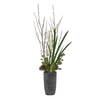 Eterna Orchid Centerpiece & Vase, Artificial Plants & Flower by Uttermost, 19.75" width x 48.5" height x 19.75" depth thumbnail 5