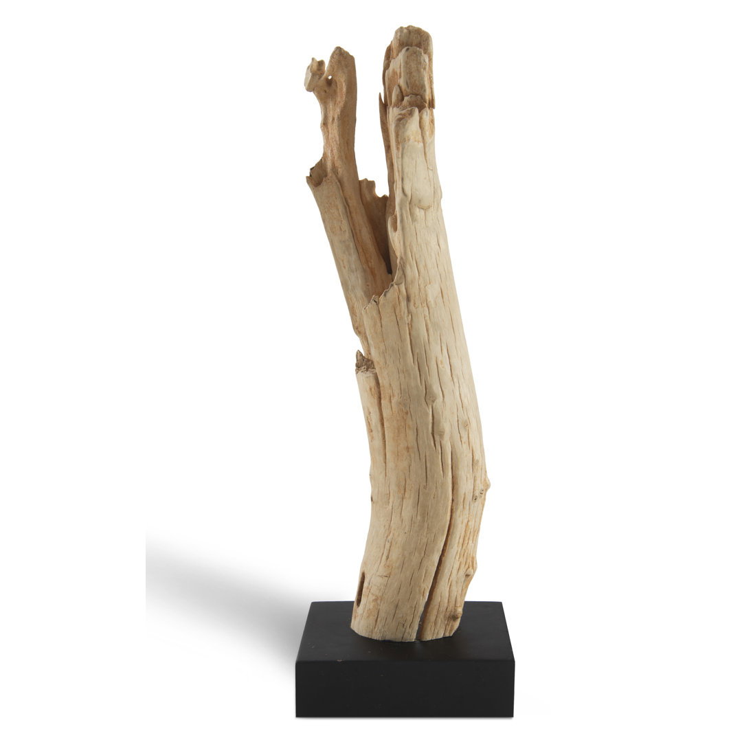 Driftwood On Stand, Decor by Phillips, 5" width x 16" height x 5" depth View 2
