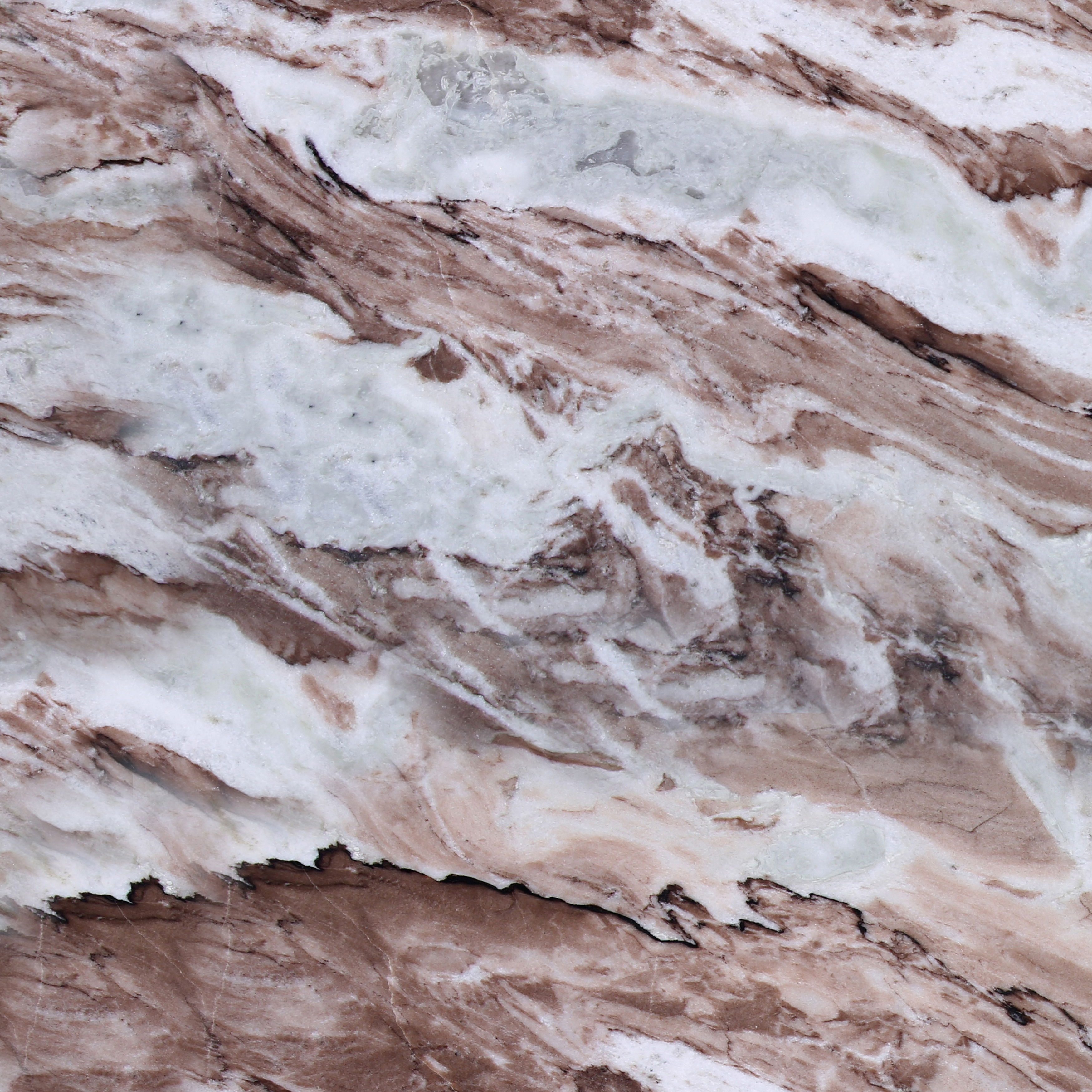 Christos Coffee Table, by Dovetail, 52" width x 16" height x 28" depth View 4