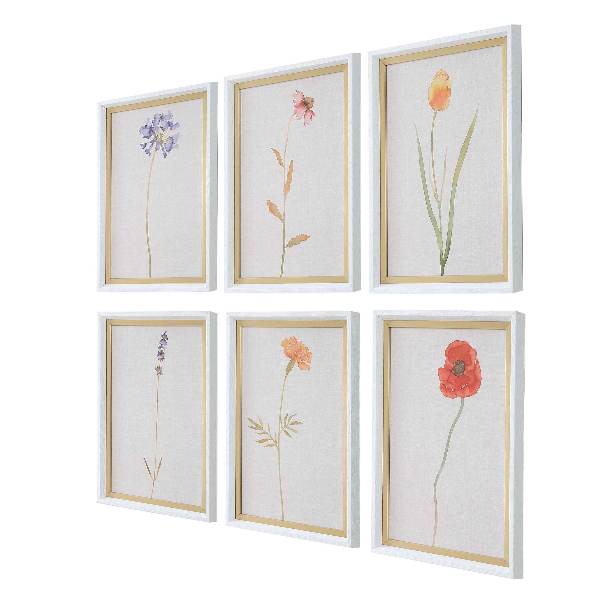 Wild Flourish Framed Floral Prints Set/6, Painting by Uttermost, 14" width x 20" height x 1.5" depth View 4