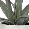 Taos Aloe Centerpiece thumbnail 5