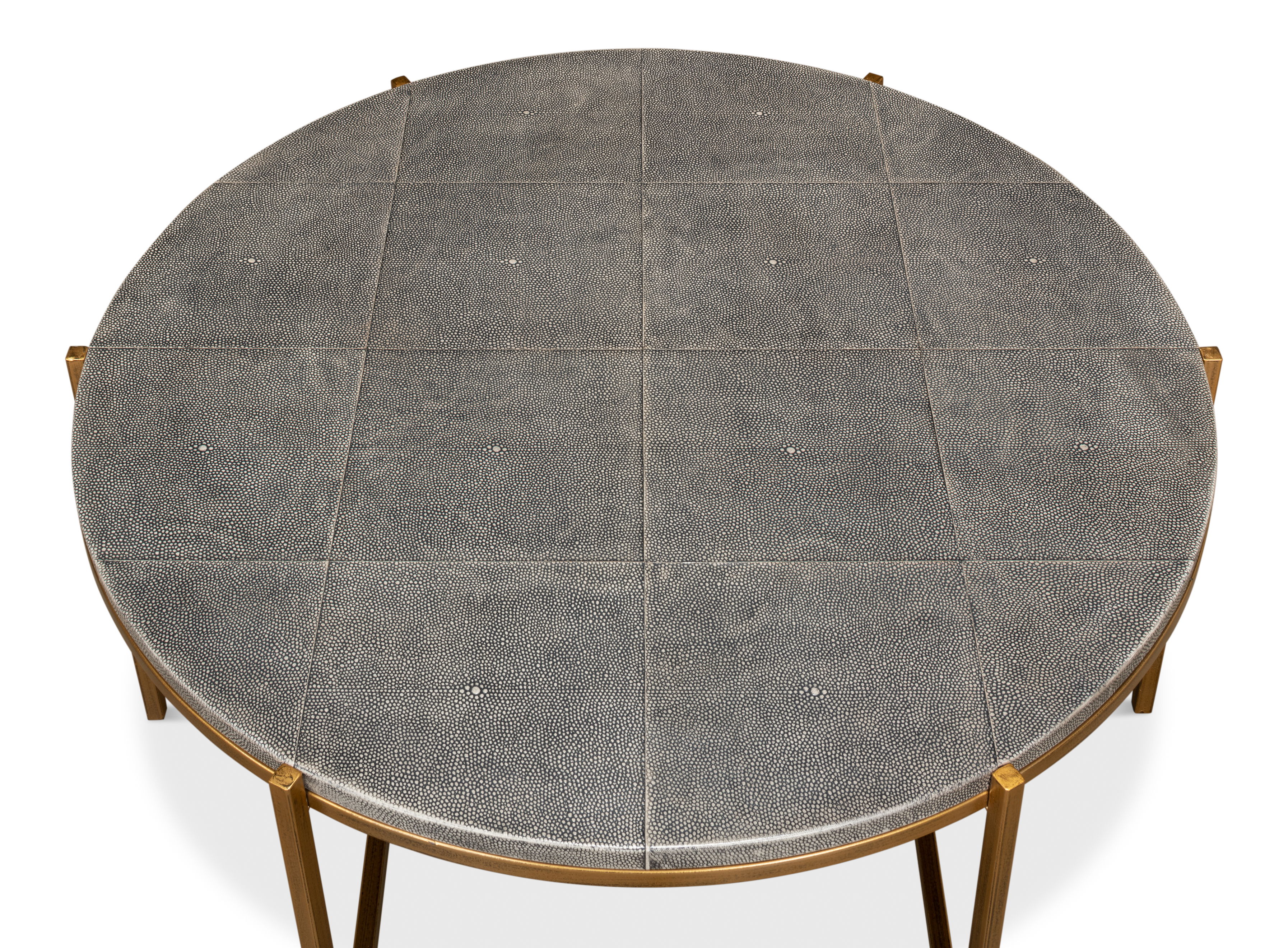 Grey Shagreen Coffee Table large image 
