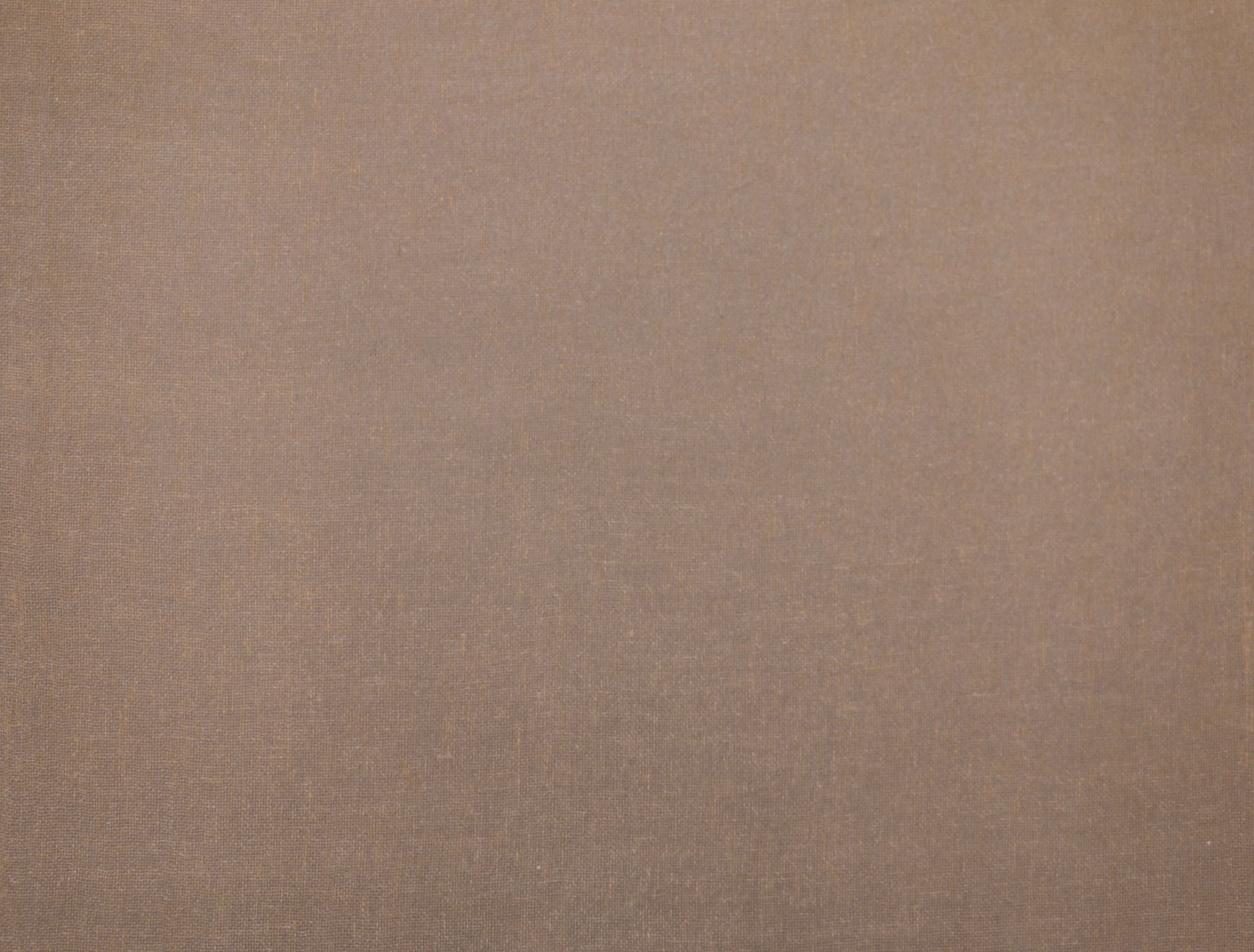 Habitat Gold Wallpaper, by York Wall, 24' length x 3' width x 0.02" depth View 1