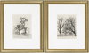 Coconino Framed Art, Painting by Surya, 19" width x 23" height thumbnail