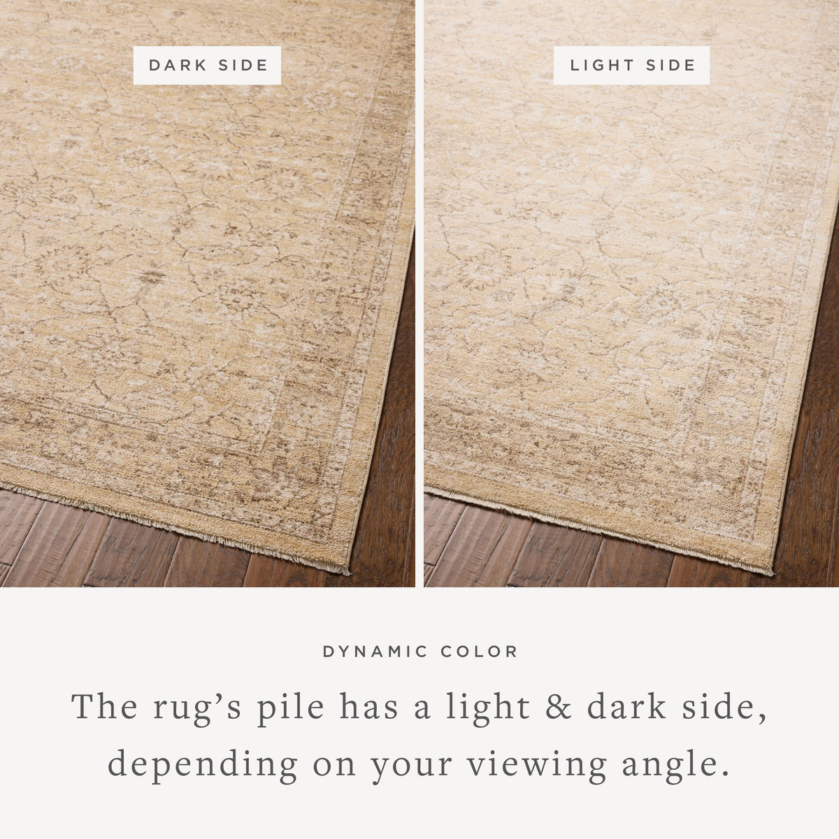 Chris Loves Julia x Loloi Palma Rug, 2'3" length x 3'10" width View 3