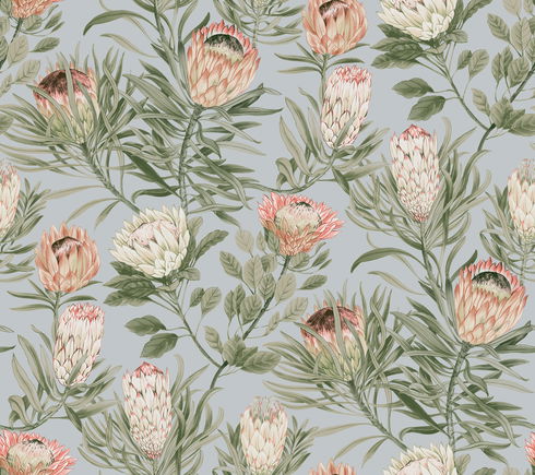 Protea Dusty Blue & Coral Wallpaper