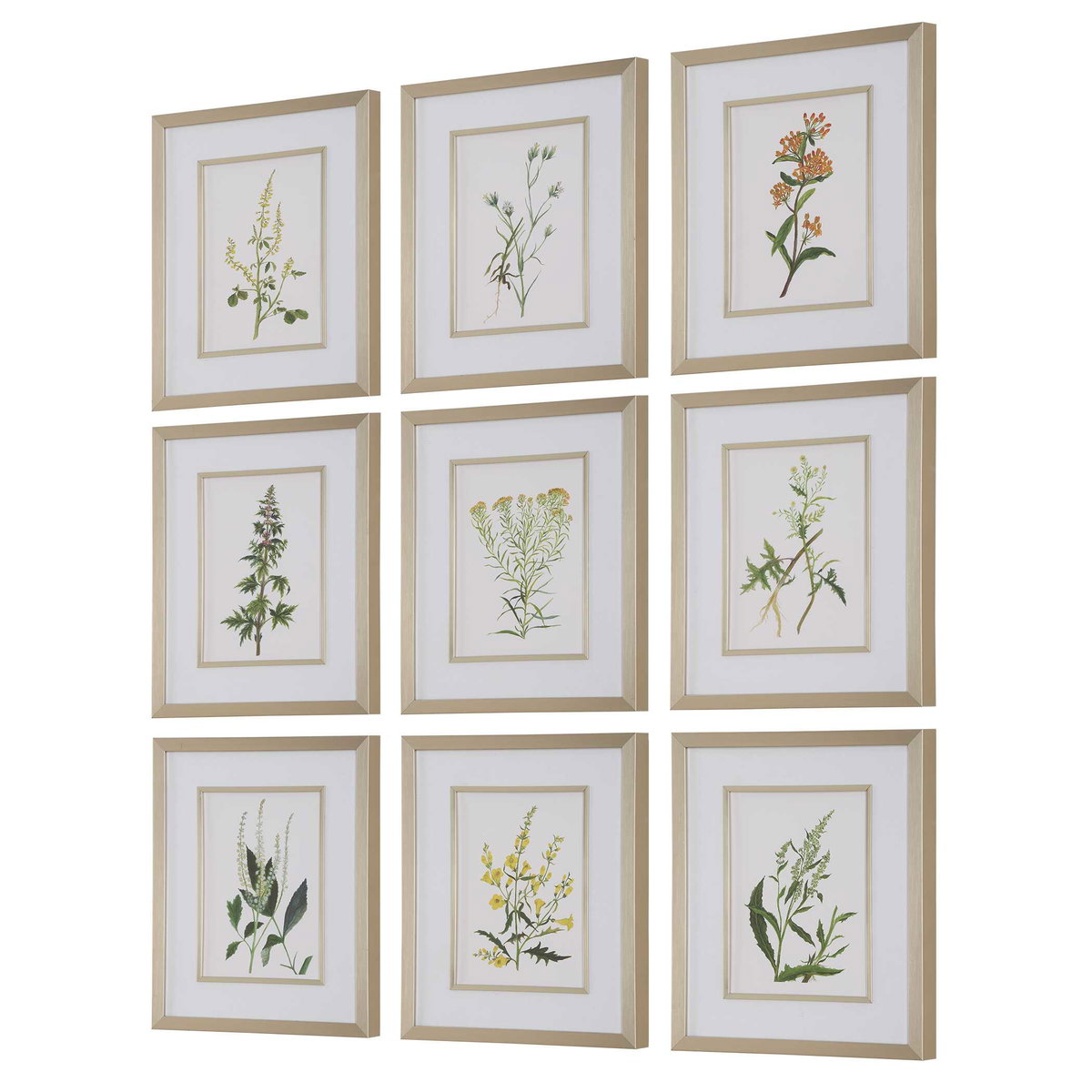 Botanical Flowers Framed Prints Set/9, Art by Uttermost, 17.37" width x 21.37" height x 2.12" depth View 5
