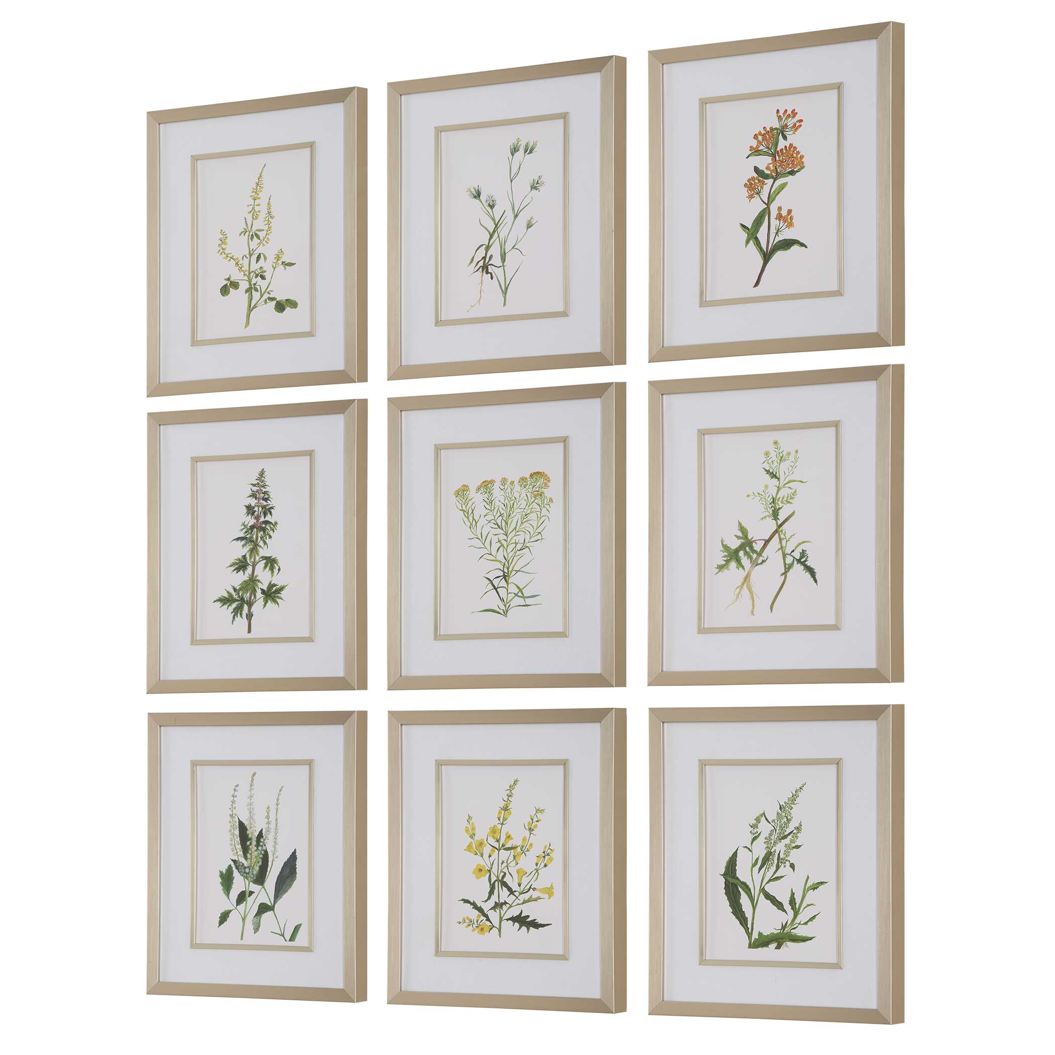 Botanical Flowers Framed Prints Set/9, Painting by Uttermost, 17.37" width x 21.37" height x 2.12" depth View 5