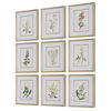 Botanical Flowers Framed Prints Set/9, Painting by Uttermost, 17.37" width x 21.37" height x 2.12" depth thumbnail 5