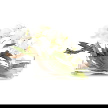 Online Designer Bathroom John Richard Curly Orchid Plant