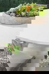 Tapestry Outdoor Dining Chair, Set of 2 thumbnail 13