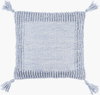 Alaric Accent Pillow, Decorative Pillow by Surya, 18" length x 18" width thumbnail