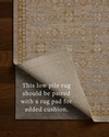 Loloi Elora Rug, 4' length x 5'7" width thumbnail 8