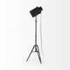 Debdou 22L x 22W x 61H Black and White Metal Adjustable Cinema-Style Floor Lamp, by Mercana thumbnail 4