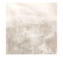 Online Designer Hallway/Entry Textured Alpine Haze, Neutral, 50x50