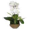 Transcend Orchid Centerpiece thumbnail 3