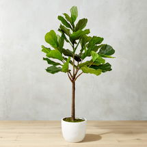 Online Designer Bedroom Potted 65" Fiddle Leaf Fig